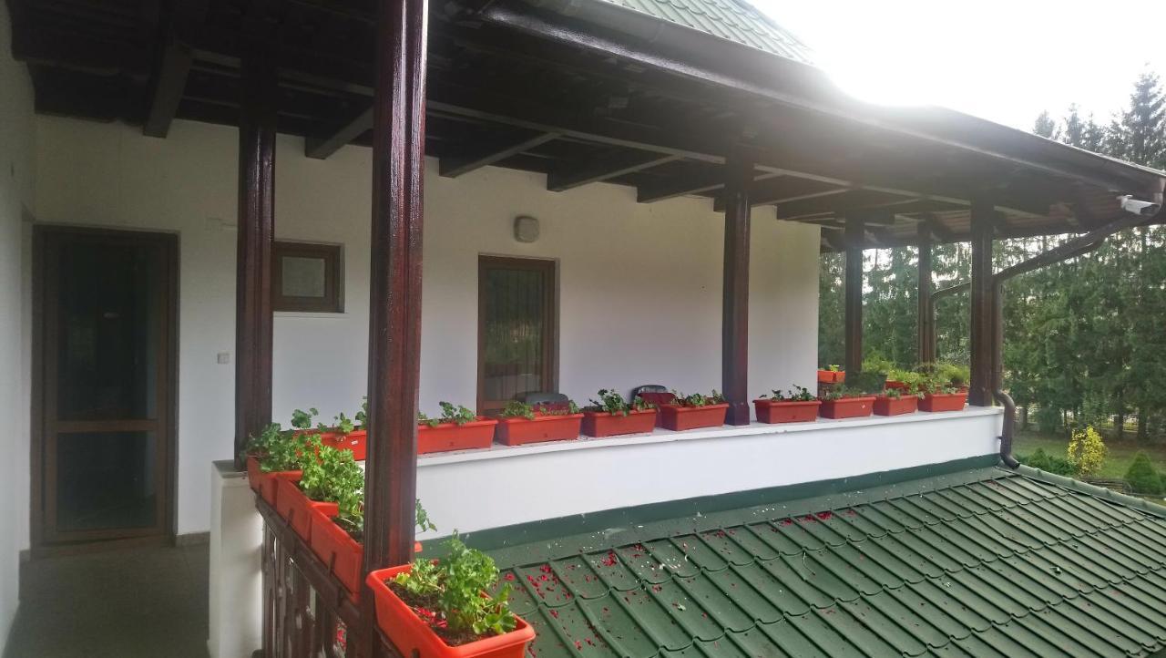 Gasthaus Casa "Ierusalim-Hozeva-Hozeva" Minastirea Neamt Exterior foto